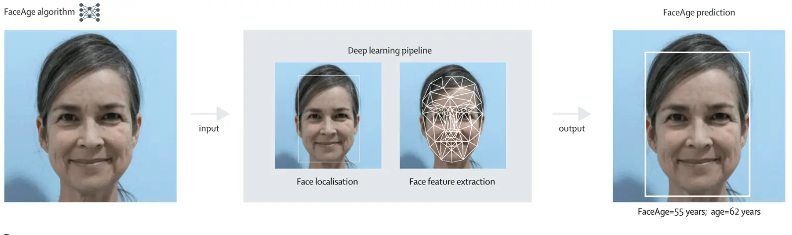 AI-powered facial analysis for age and health predictions