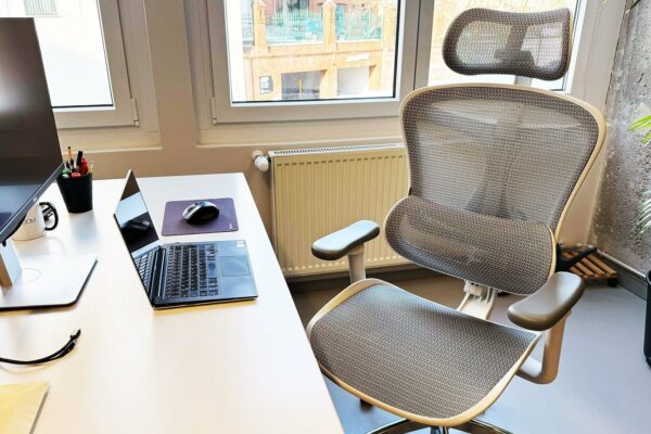 Sihoo Doro C300: Ergonomic Office Chair Review Sihoo Doro C300 In The Test Ergonomic Office Chair At A Fair Price